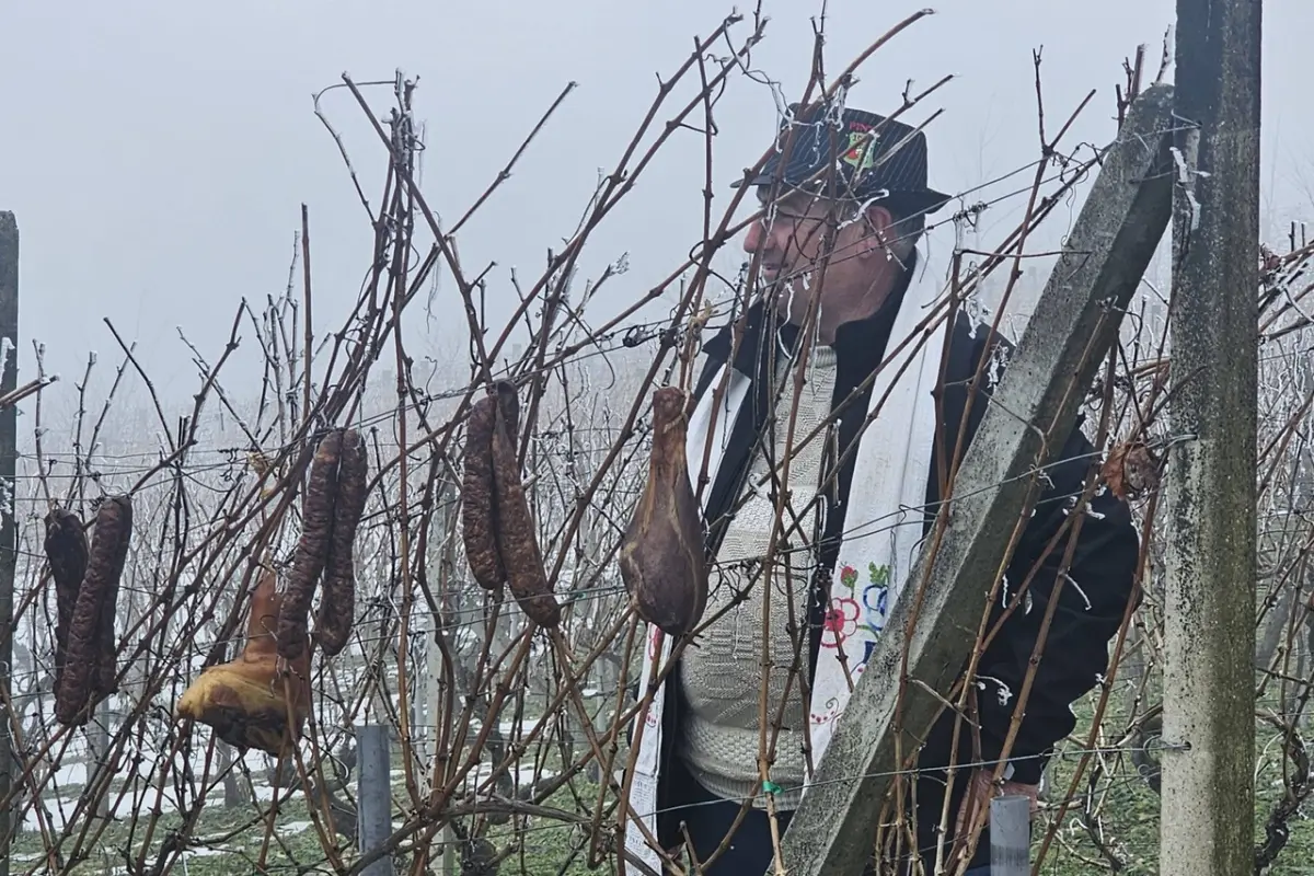 vincekovo Marof 2026 (4)