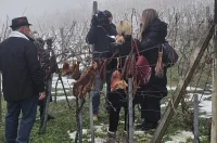 vincekovo Marof 2026 (6)