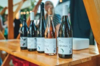 vinski trg 2025 – opcina petrijanec 12