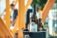 vinski trg 2025 – opcina petrijanec 24