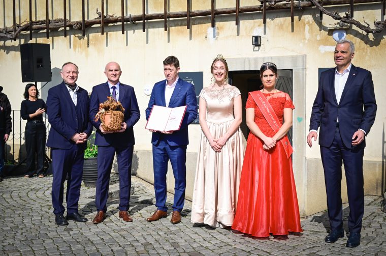 visit_mb_47_rez_najstarejse_trte_lent_mb_2026_03_07__MP75089_foto_markopigac_pigac_si visit_mb_47_rez_najstarejse_trte_lent_mb_2026_03_07__MP75089_foto_markopigac_pigac_si