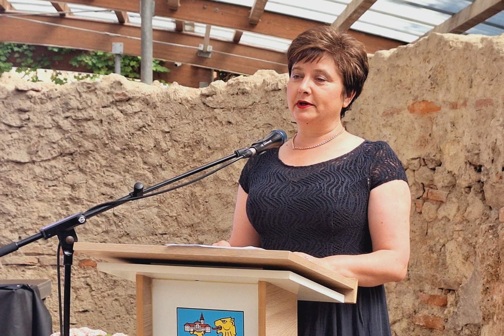 vž toplice (10) vž toplice (10)