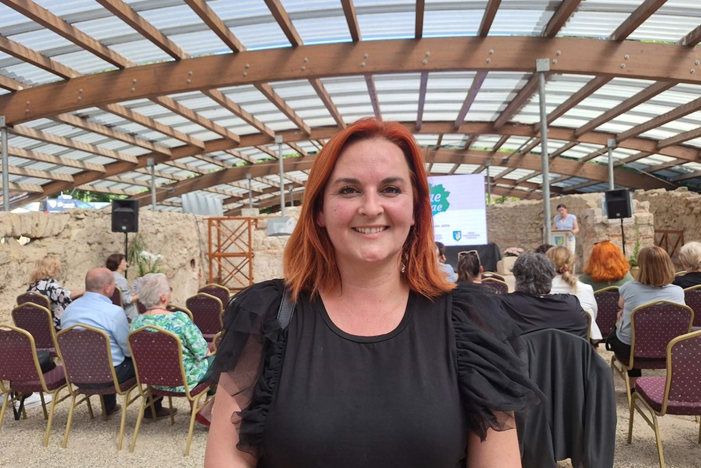 vž toplice (11) vž toplice (11)