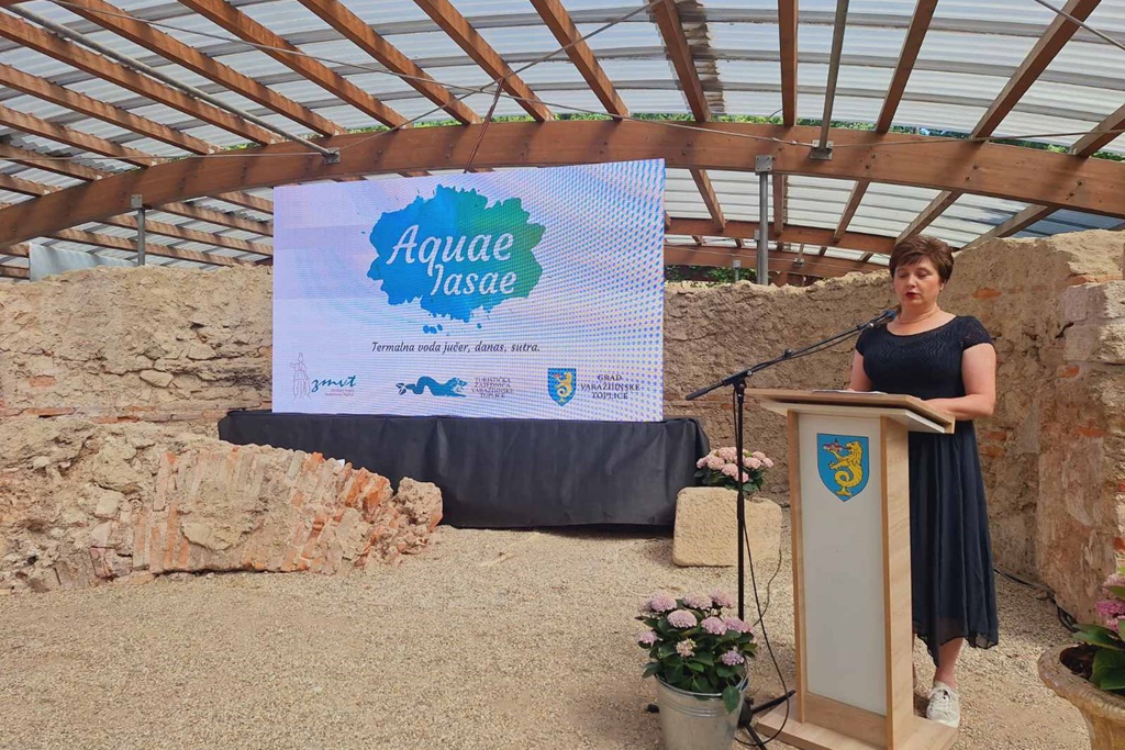 vž toplice (9) vž toplice (9)