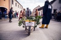 vz toplice-fasnik (13) vz toplice-fasnik (13)