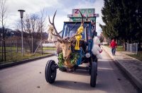 vz toplice-fasnik (17) vz toplice-fasnik (17)