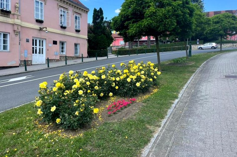 vz toplice-proljetno uredenje-cvijece (13)