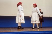 vz toplice-svecana akademija-kukuljevicevi dani (9)