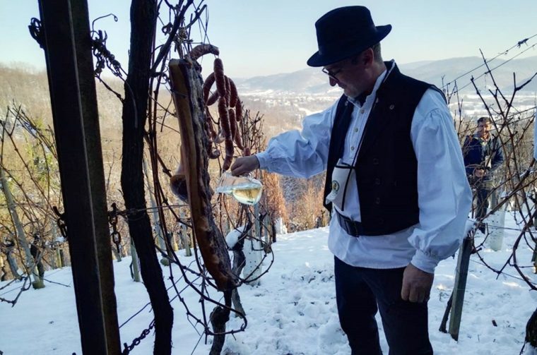 vz toplice vincekovo