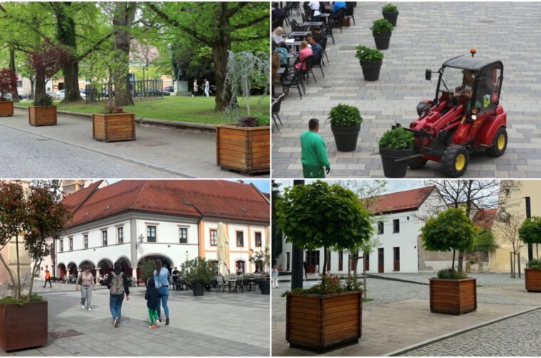 zeleni varaždin grad