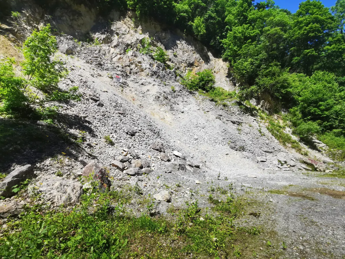 zeljeznica prosvjed – goran stimec 19 zeljeznica prosvjed – goran stimec 19