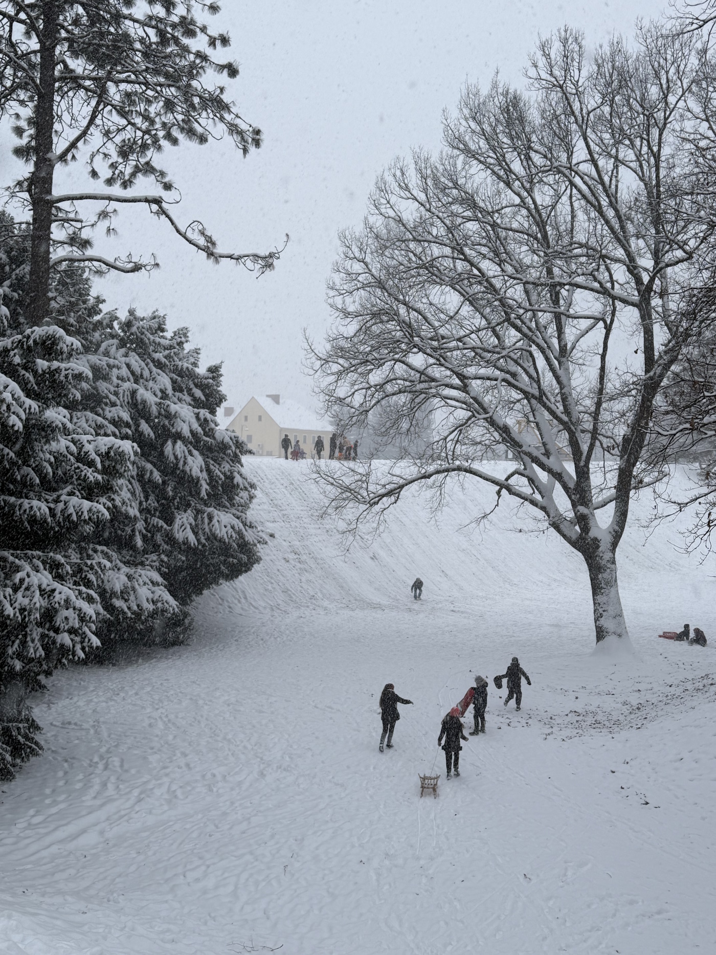 zima varaždin snijeg (10)