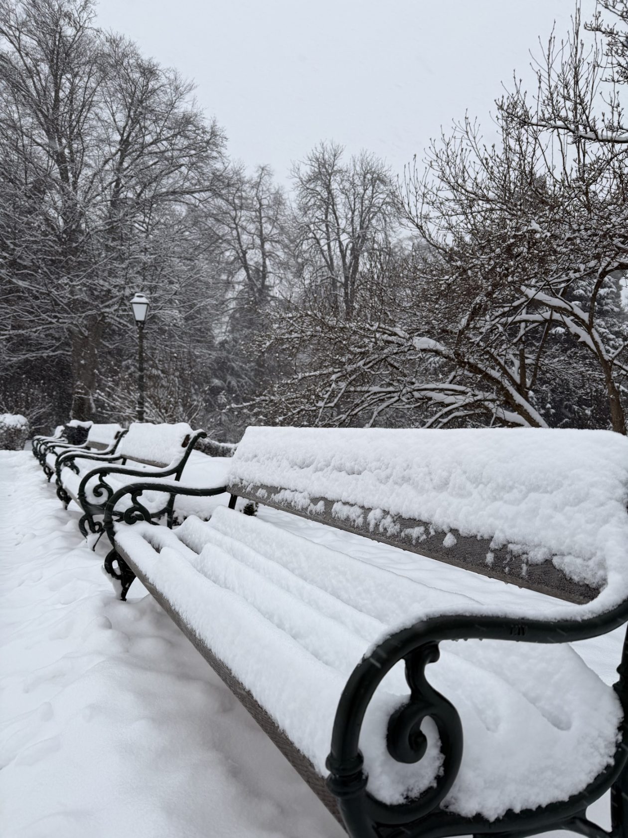 zima varaždin snijeg (3) zima varaždin snijeg (3)