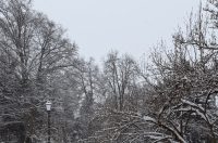 zima varaždin snijeg (3)