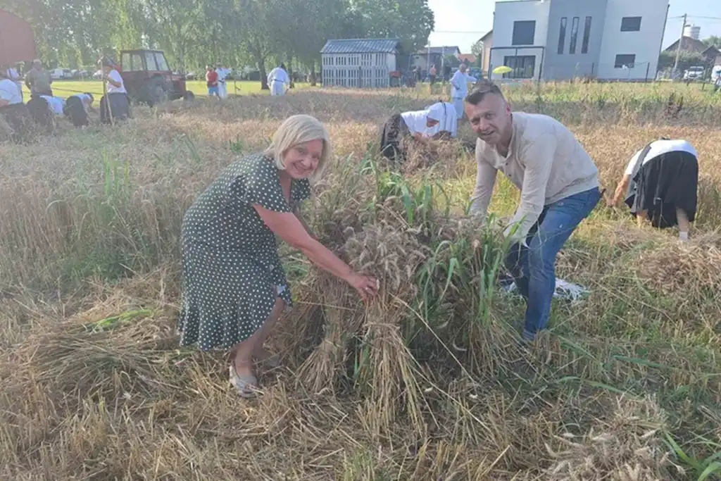 žetvene svečanosti, trnovec001
