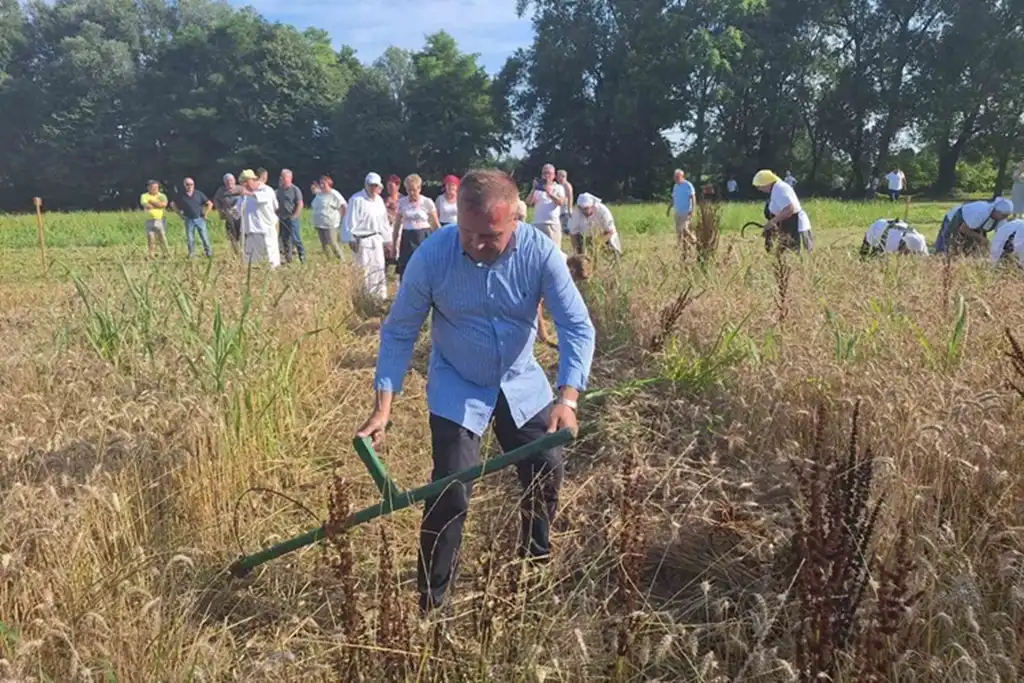 žetvene svečanosti, trnovec004